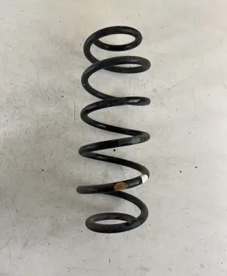 Rear coil spring