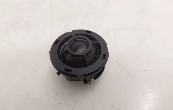 Front door high frequency speaker
