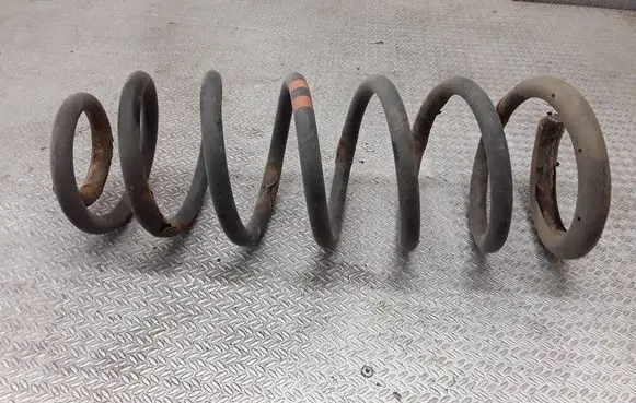 Citroen Jumpy Rear coil spring 