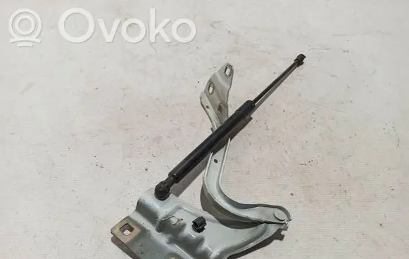 Renault Megane IV Engine bonnet/hood hinges 654002203R