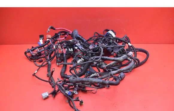 Other wiring loom