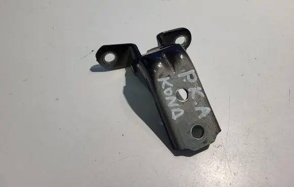 Hyundai Kona I Front door lower hinge 