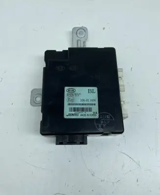 KIA Sorento Door control unit/module 954003E310 10R021806