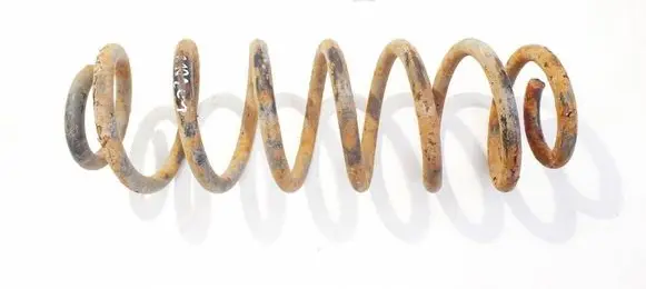 Rear coil spring