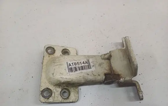 Rear door lower hinge
