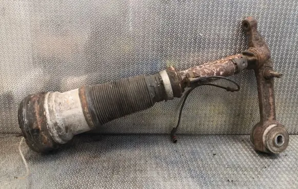 Mercedes-Benz S W220 Front shock absorber/damper 2203205113 A2203205113