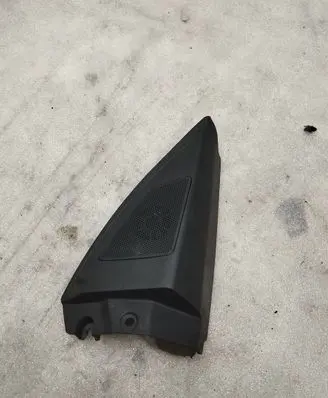 Front door high frequency speaker