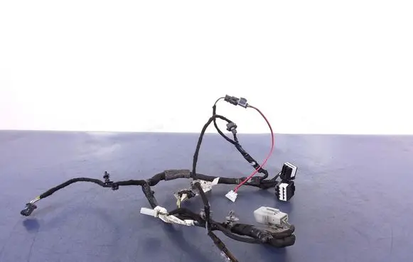 Cadillac CTS Other wiring loom 84012125
