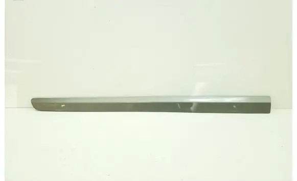 Mercedes-Benz B W245 Front door trim (molding) A1696981962