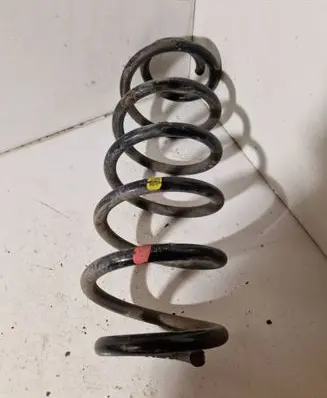 Rear coil spring