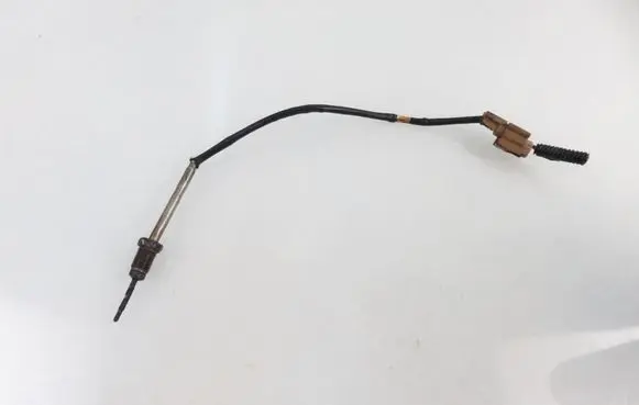 Renault Megane III Exhaust gas temperature sensor RN140JCWE