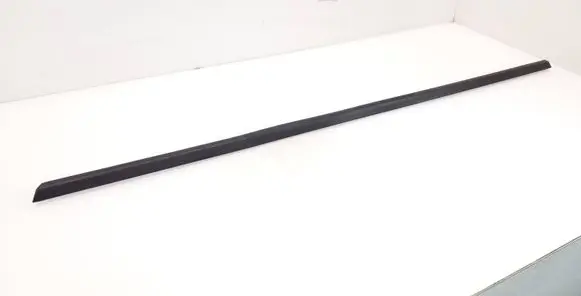 Volvo XC60 Rear door glass trim molding 31402542
