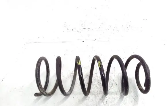 Hyundai Getz Rear coil spring