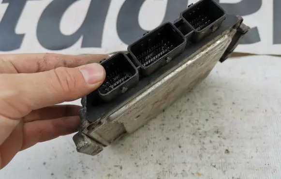 Nissan Primera Engine control unit/module 8200263396 0281011389