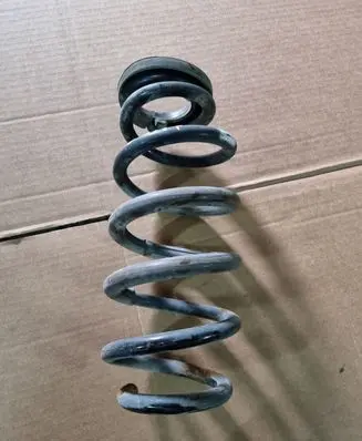 Toyota RAV 4 (XA30) Rear coil spring NOCODE