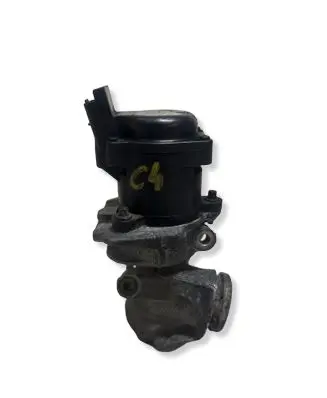 Citroen C4 I Picasso EGR valve V29010703 723500741
