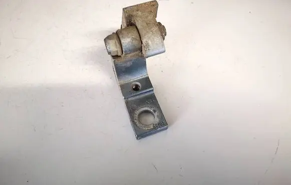 Rear door lower hinge