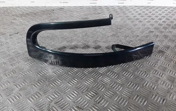 Rear/tail light trim molding