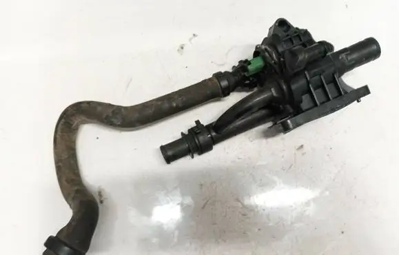 Citroen Berlingo Engine coolant pipe/hose
