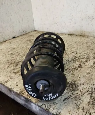 Citroen C4 Cactus Front shock absorber with coil spring