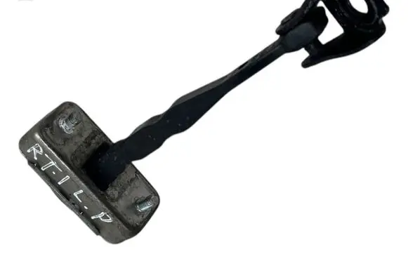 Renault Talisman Front door check strap stopper xfdfr