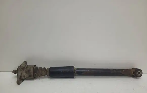 Volkswagen PASSAT B5 Rear shock absorber/damper 3B9513031G