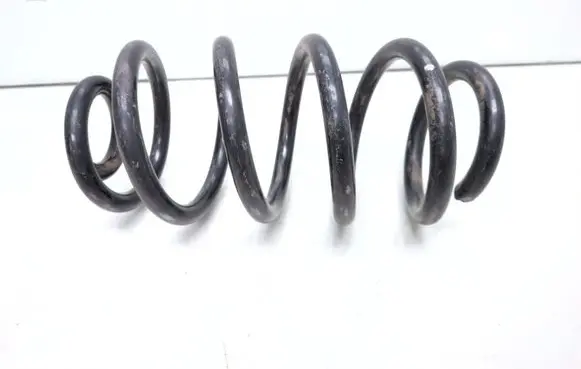 Renault Zoe Rear coil spring