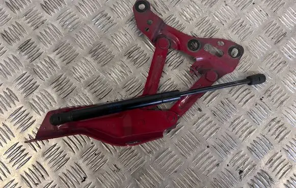 Tesla Model X Engine bonnet/hood hinges 1058041