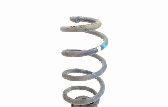 Rear coil spring