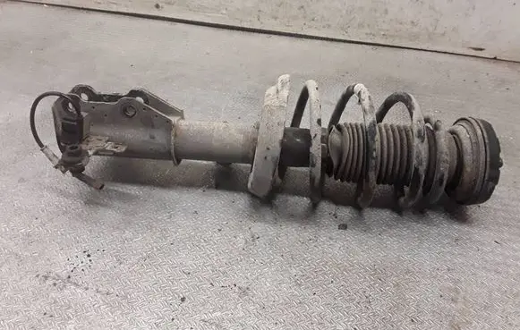 Opel Insignia A Front shock absorber with coil spring