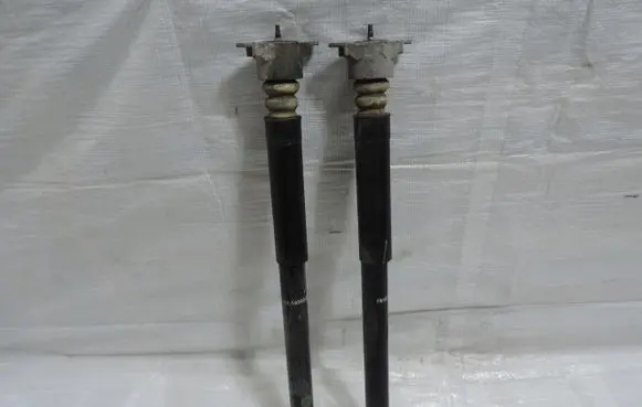Ford Ranger Rear shock absorber/damper FN1C-18080-CA