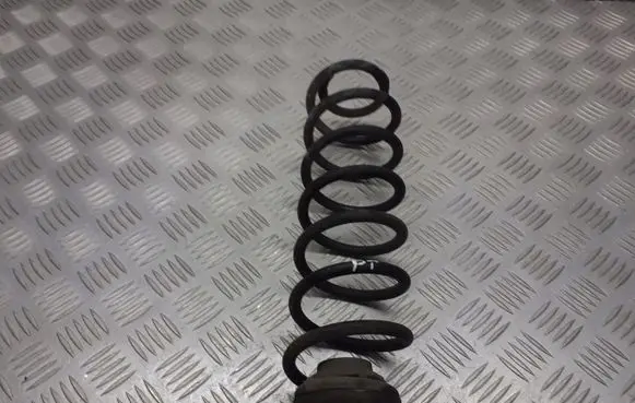Skoda Fabia Mk1 (6Y) Rear coil spring