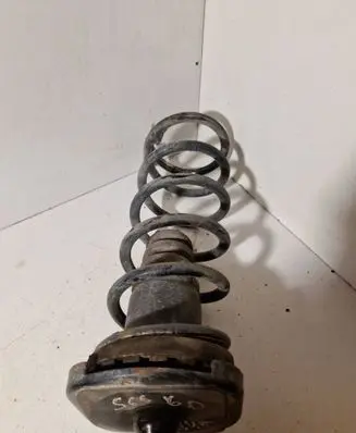 Rear coil spring