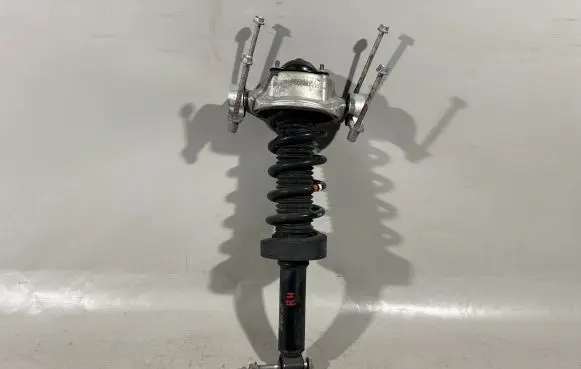 Porsche Cayenne (92A) Rear shock absorber with coil spring 95833305100 95833353115504 7P5513029G