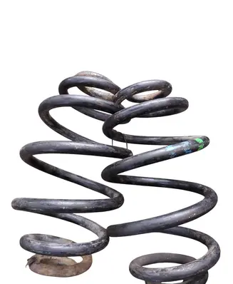 Rear coil spring