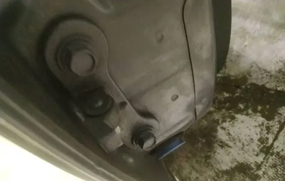 Opel Vectra C Rear door lower hinge