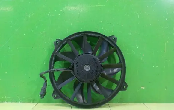 Peugeot RCZ Fan set 988495H