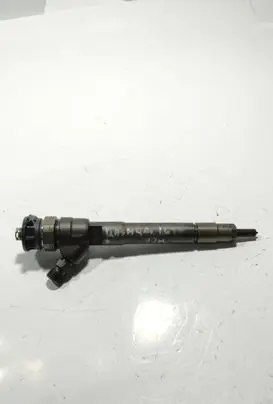 Nissan Qashqai Fuel injector H1055367 0445110