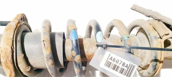 Rear coil spring
