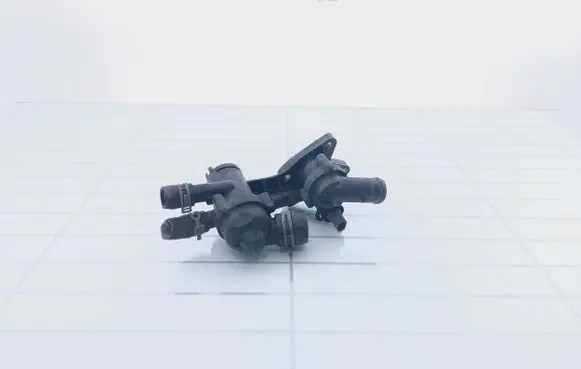 Thermostat/thermostat housing