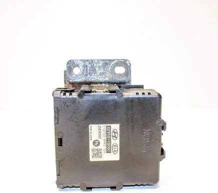 Hyundai Kona I Other devices 4295018001