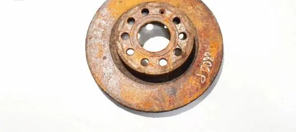 Volkswagen Golf V Front brake disc ventiliuojamas