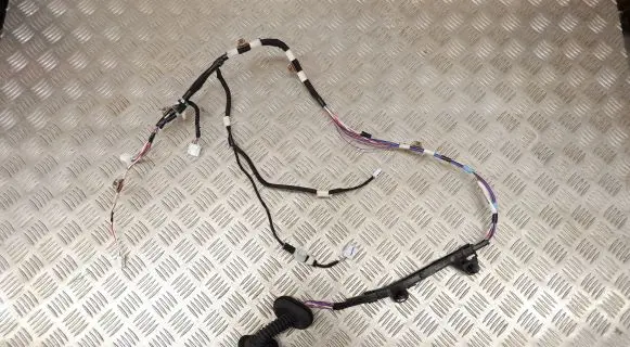 Rear door wiring loom