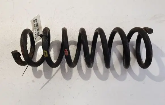 Rear coil spring