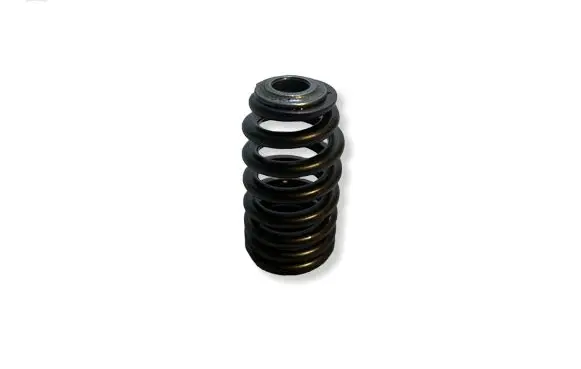 Dodge Challenger Valve spring 