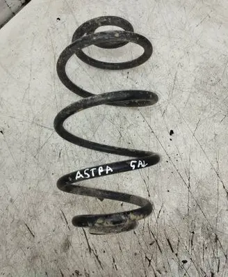Opel Astra H Rear coil spring 