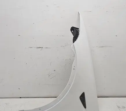 Tesla Model X Fender TESLAXPLAIDTMC