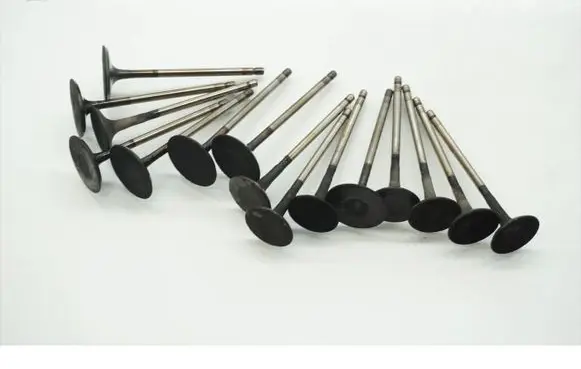 Lexus LS 460 - 600H Valve 