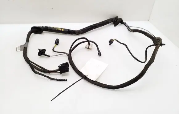 Rear door wiring loom