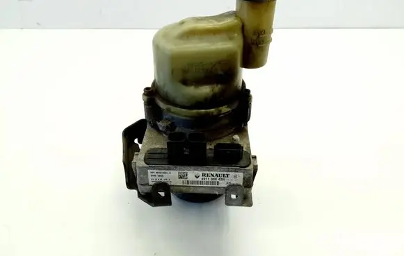 Dacia Lodgy Electric power steering pump 491100842R